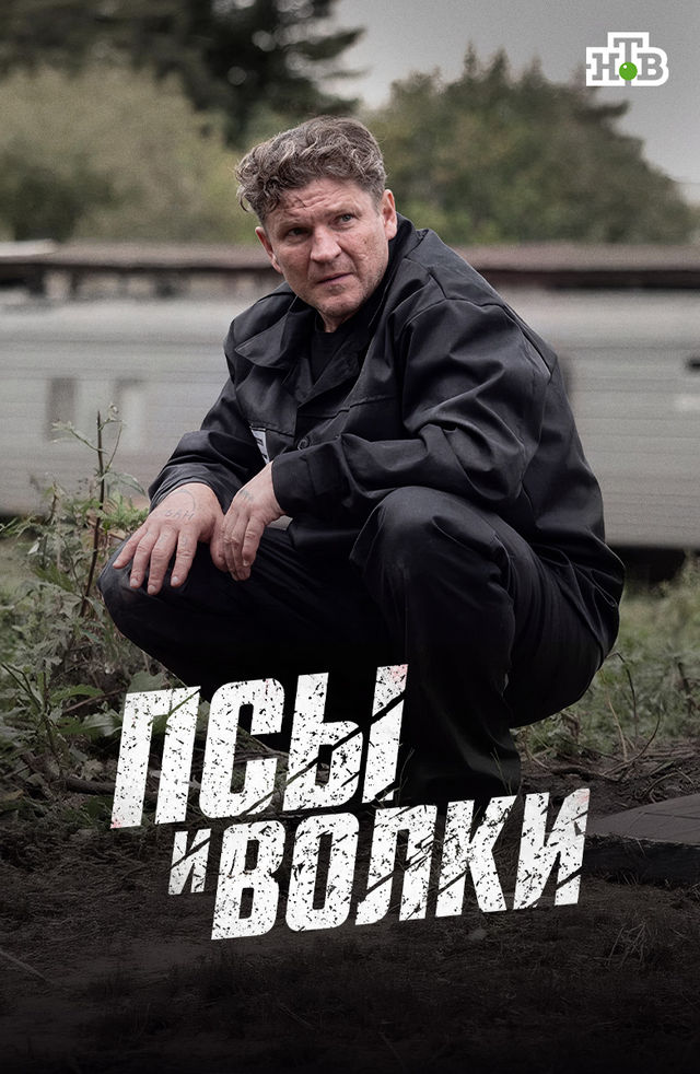 Псы и волки